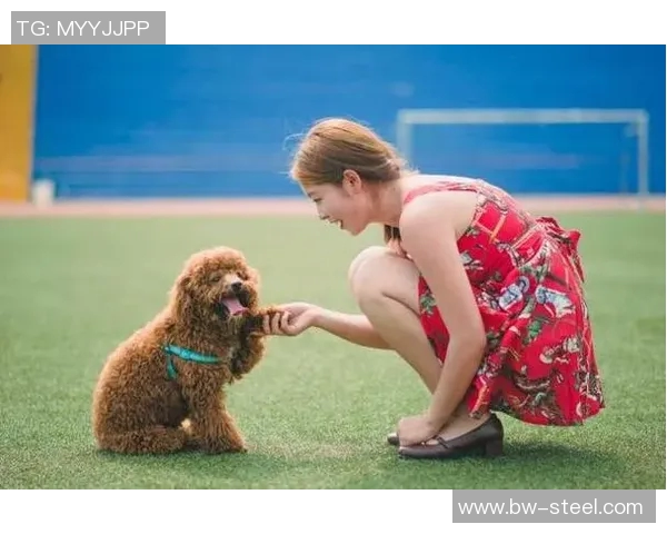 足球明星与太极的奇妙结合探索运动哲学与身体智慧的完美融合 足球明星与太极的奇妙结合探索运动哲学与身体智慧的完美融合