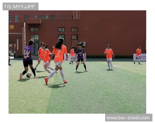 丹凤足球明星名单及精彩瞬间回顾，见证荣耀与梦想的交汇时刻