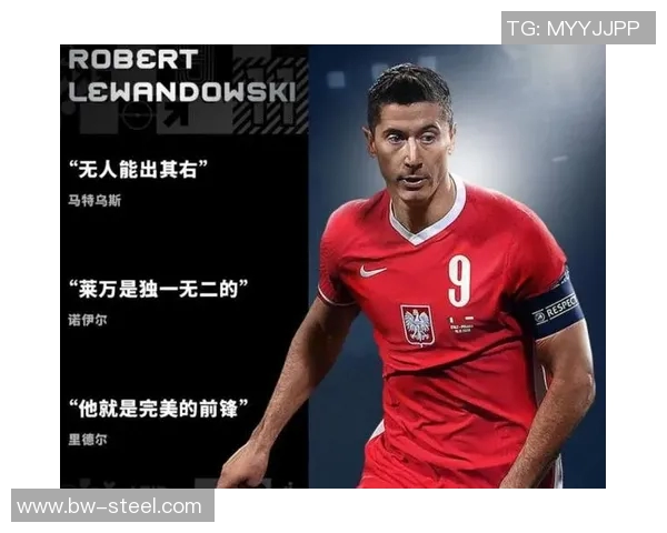 足球明星投资公司股票市场前景分析与发展潜力探讨