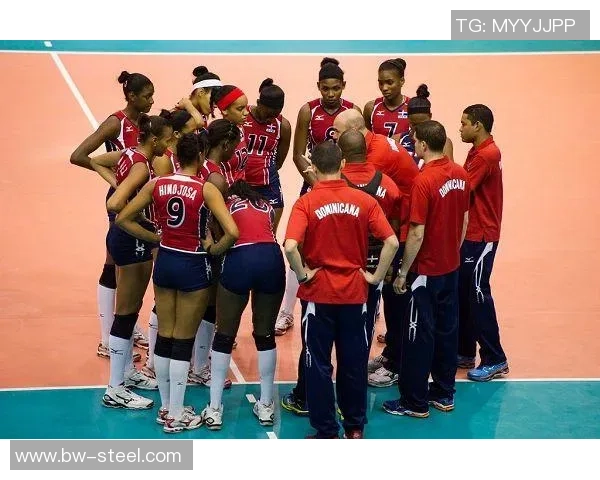 杭州排球队在世界锦标赛中的耐力表现与战术分析