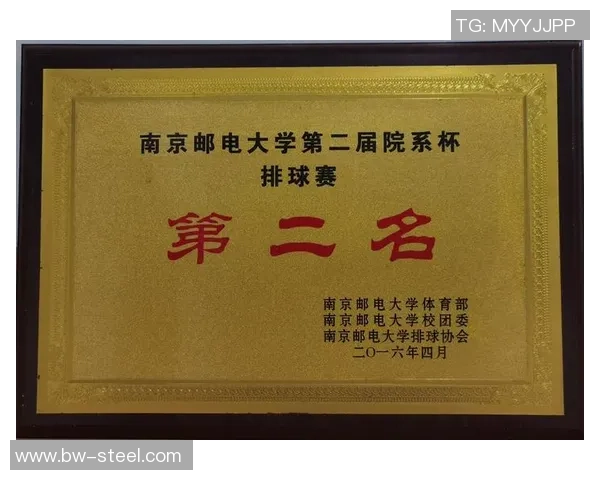 南京排球队技术表现全面分析与大满贯点评