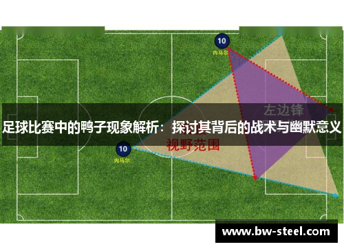 足球比赛中的鸭子现象解析：探讨其背后的战术与幽默意义
